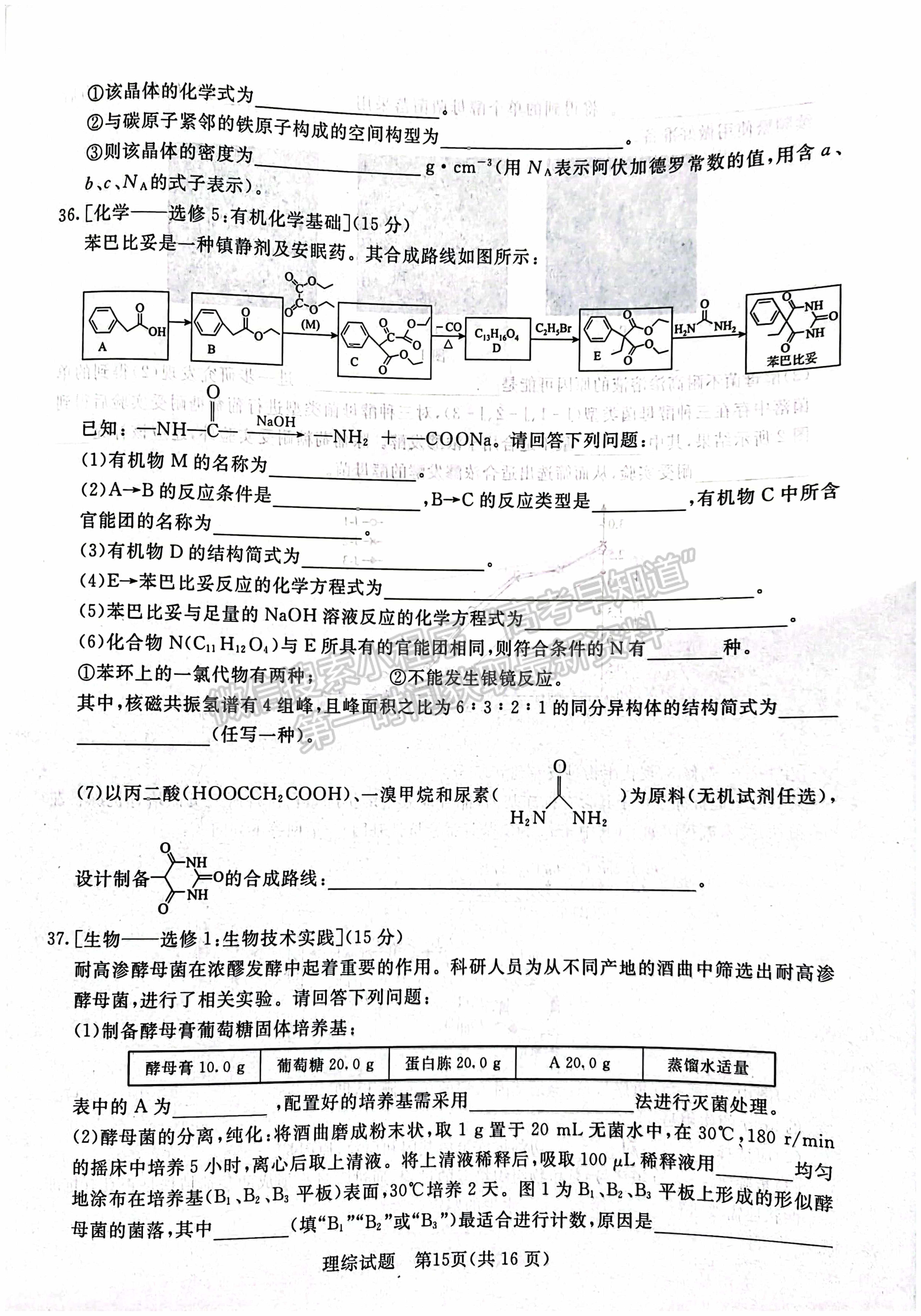 2022河南青桐鸣2月联考理综试题及参考答案