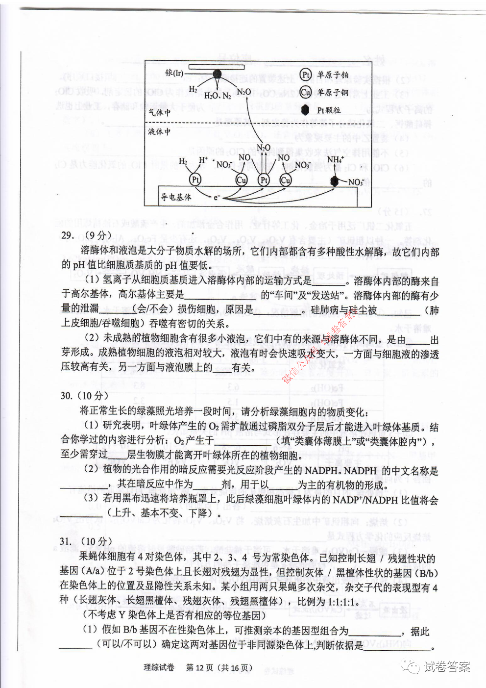 2021年六安市省示范高中高三教學(xué)質(zhì)量檢測理綜試題及答案