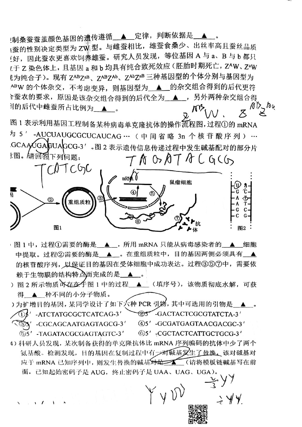 2021南京/鹽城/無錫一模生物試題及參考答案