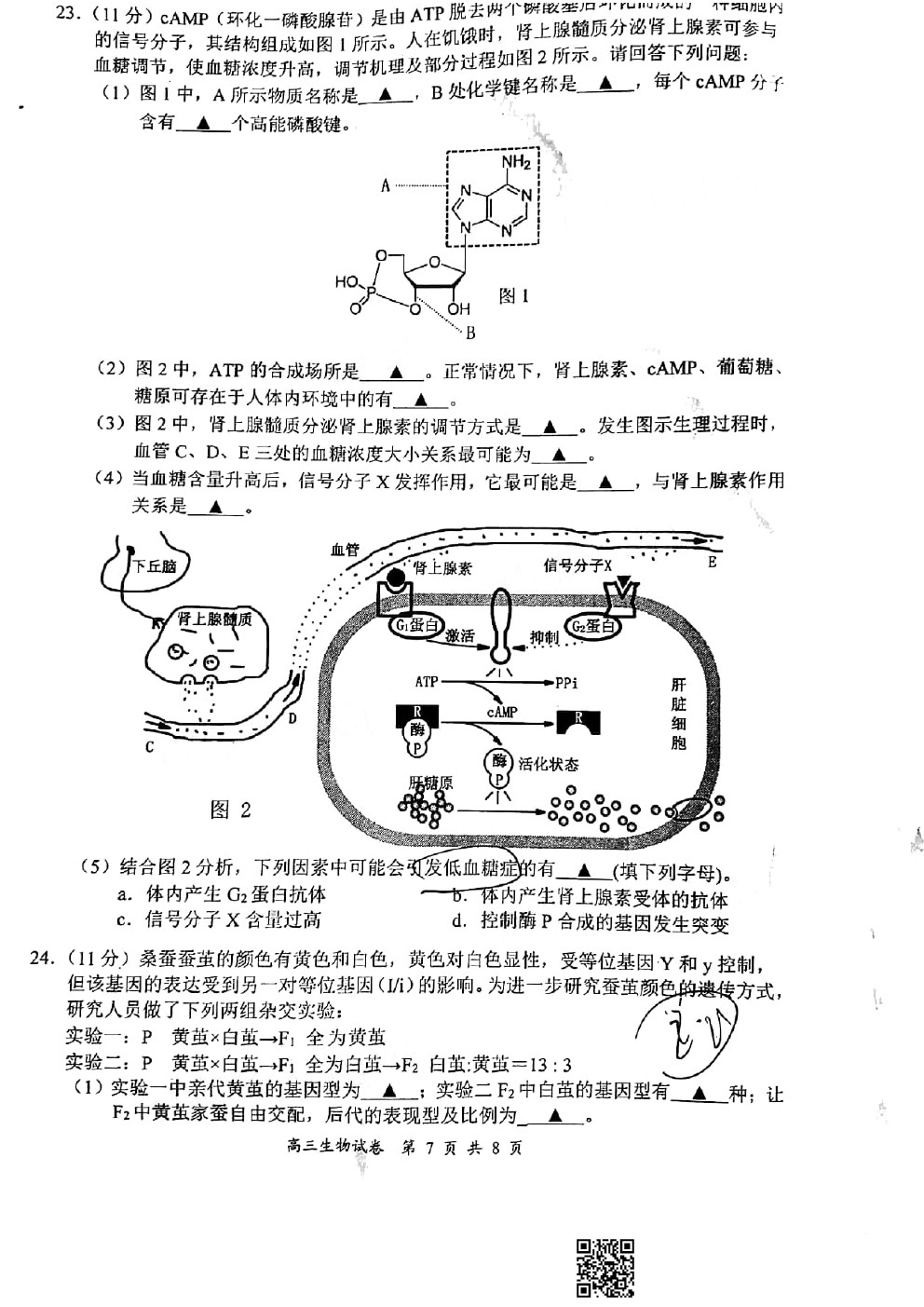 2021南京/鹽城/無錫一模生物試題及參考答案