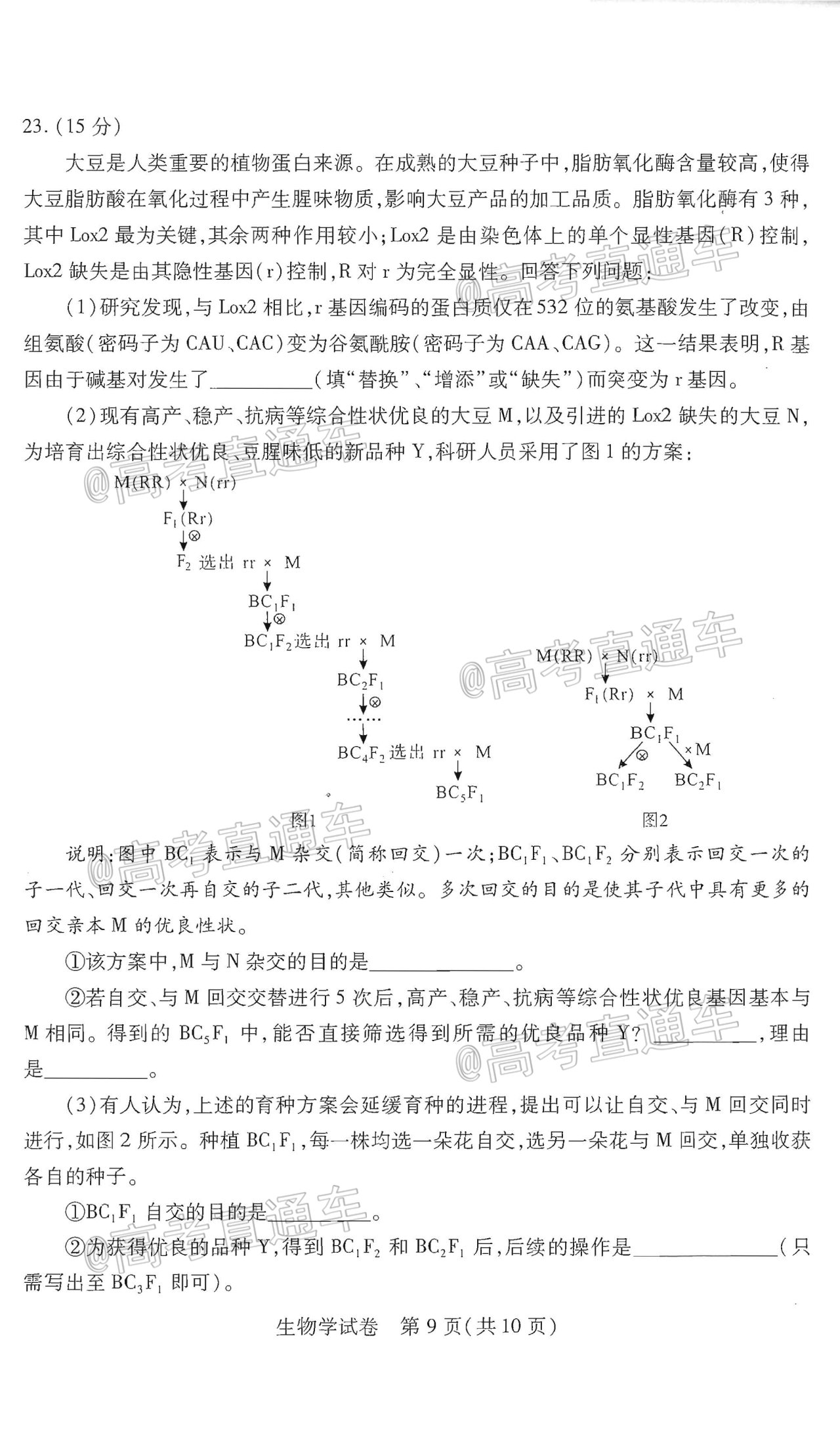 2021武漢3月質檢生物試題及參考答案