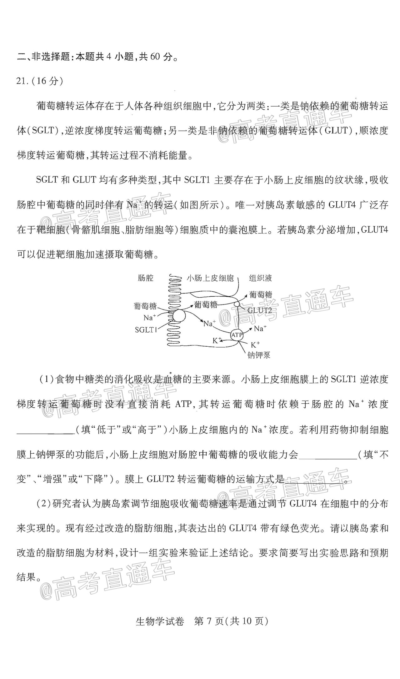 2021武漢3月質(zhì)檢生物試題及參考答案