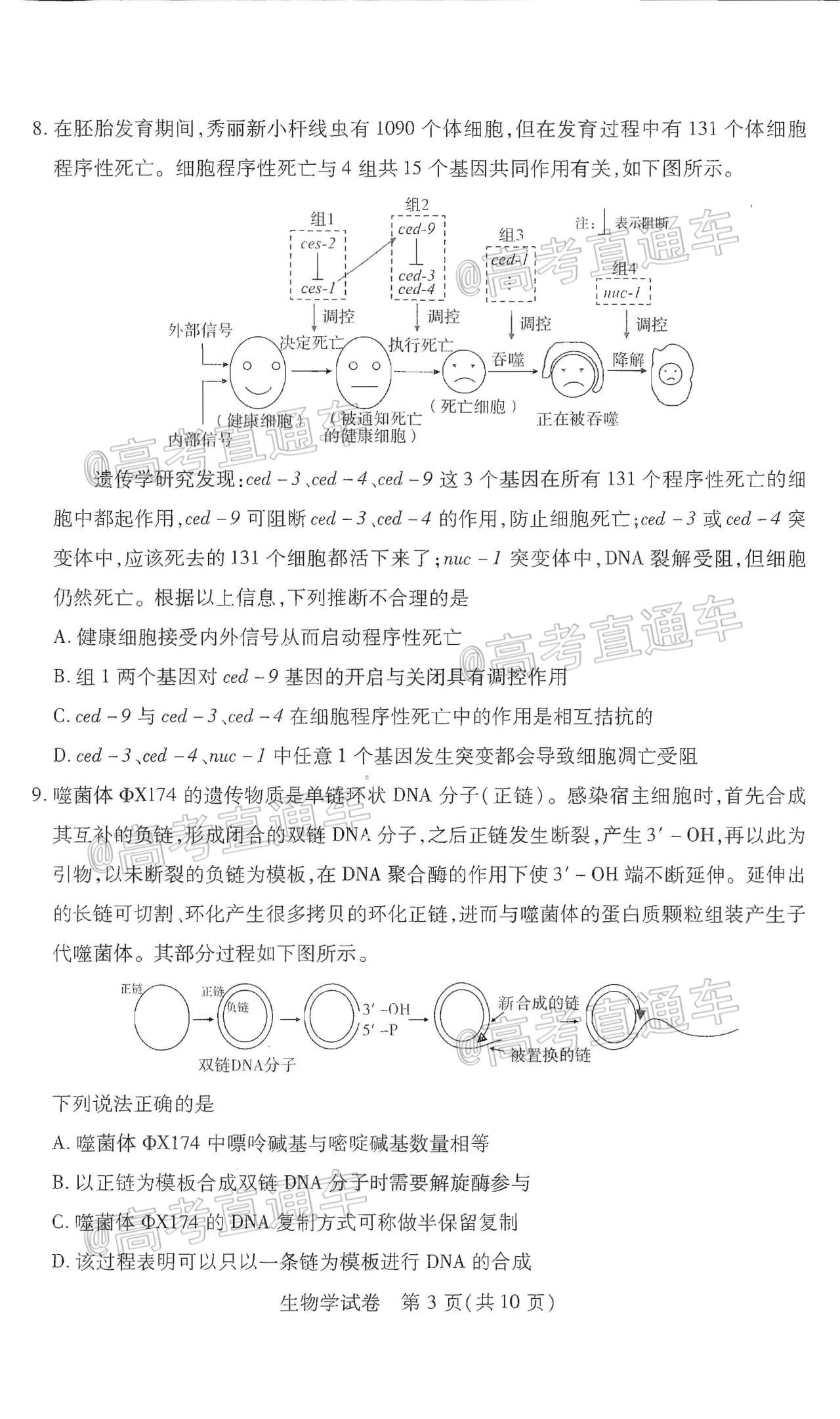 2021武漢3月質檢生物試題及參考答案