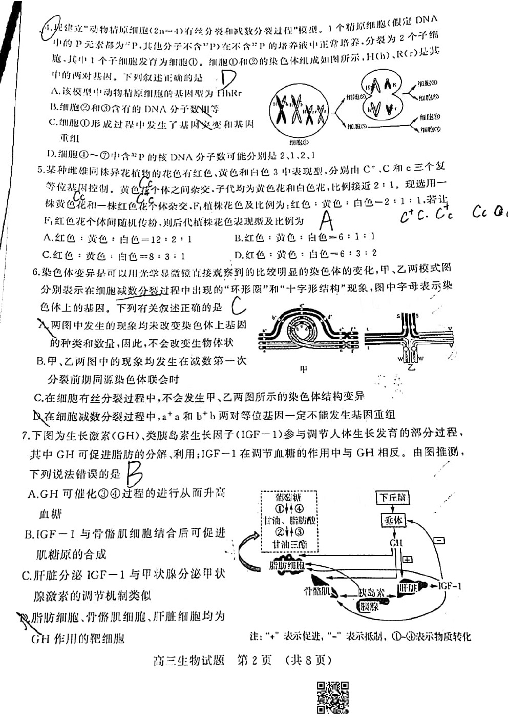 2021濟南高三十一校聯(lián)考生物試題及參考答案