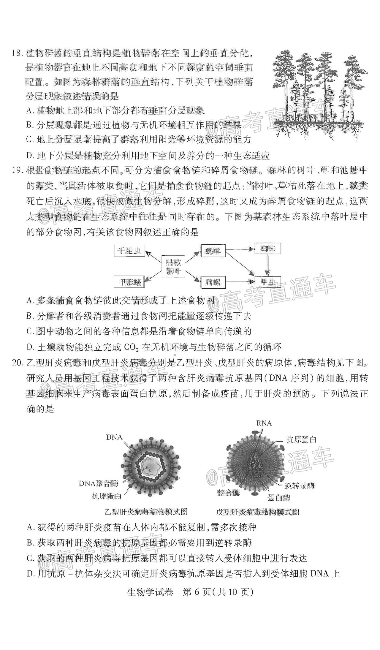 2021武漢3月質檢生物試題及參考答案