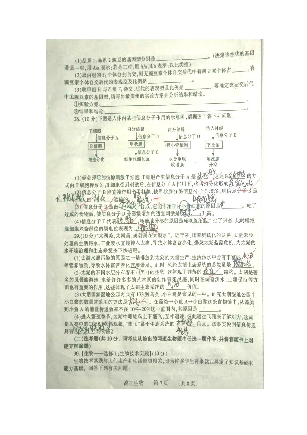 2021濮陽市摸底考試（一模）生物試題及參考答案