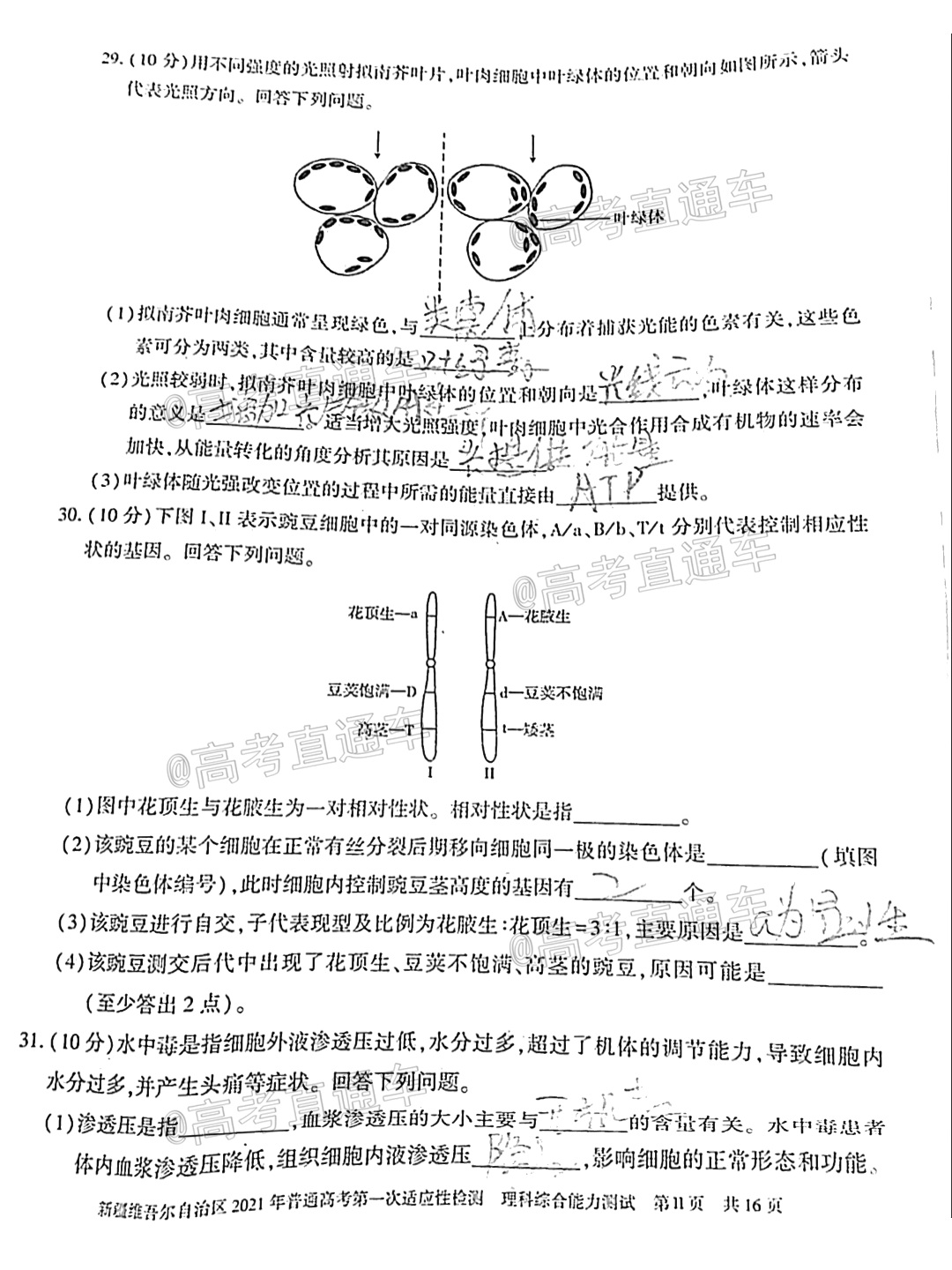 2021新疆維吾爾自治區(qū)第一次適應(yīng)性檢測理綜試題及參考答案