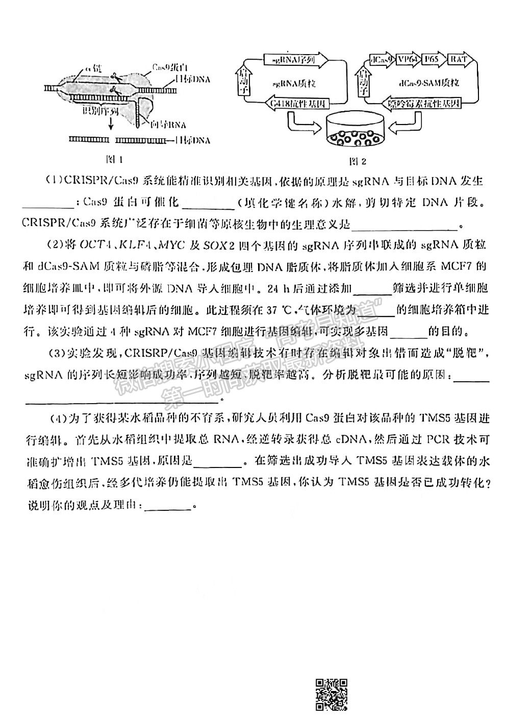 2021臨沂一模生物試題及參考答案