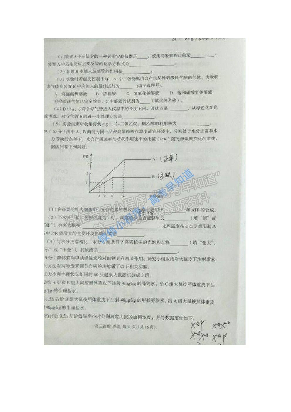 2021甘肅一診理科綜合試題及答案