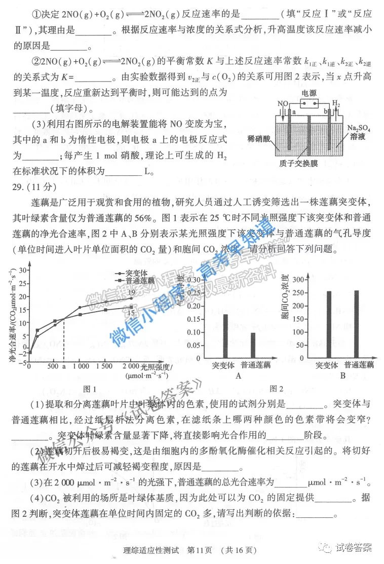 2021河南省高三適應(yīng)性測(cè)試?yán)砜凭C合試題及答案