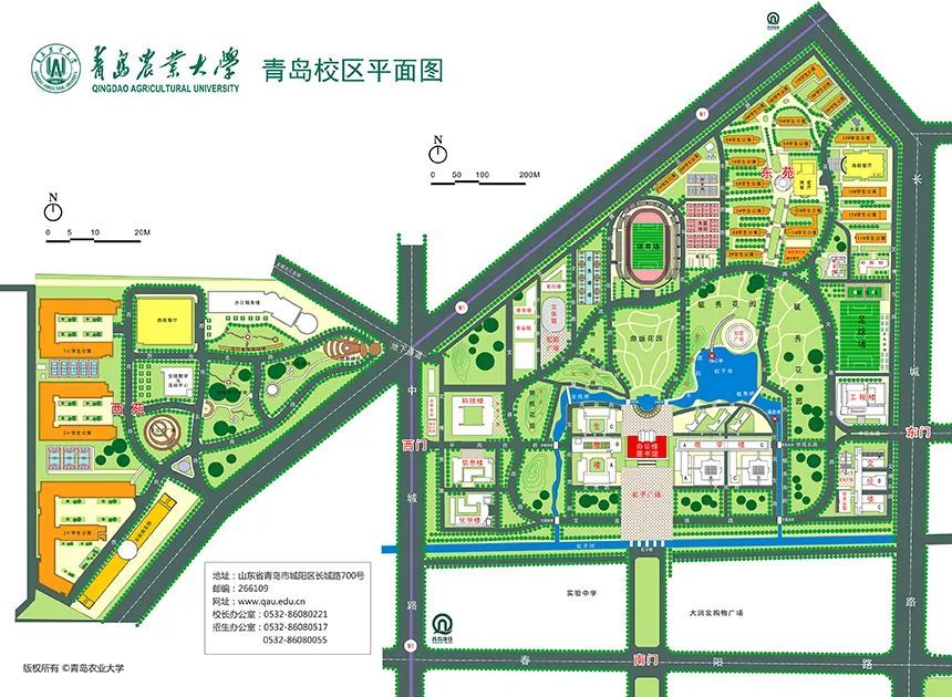 青岛农业大学手绘地图图片