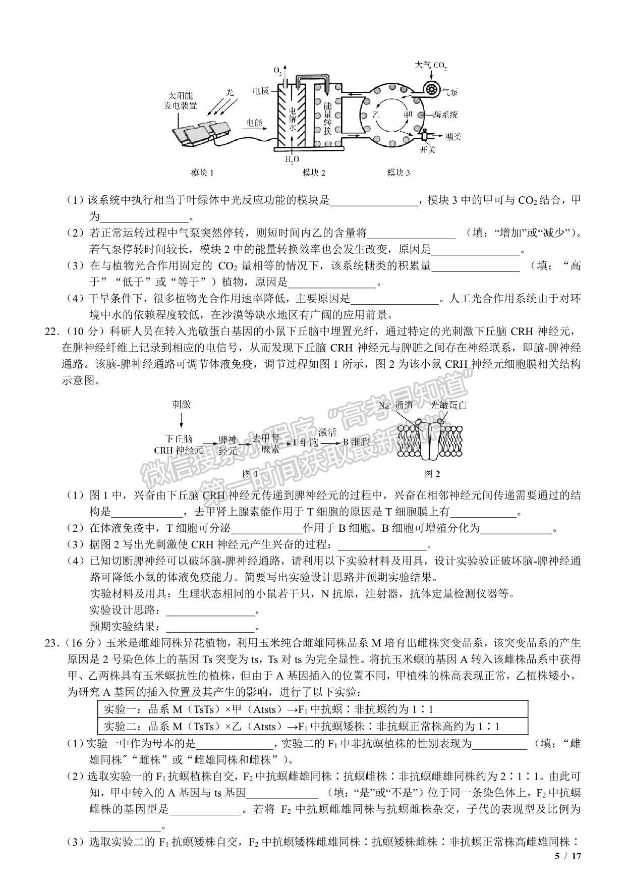 2020新高考i卷山东卷高考生物真题及参考答案