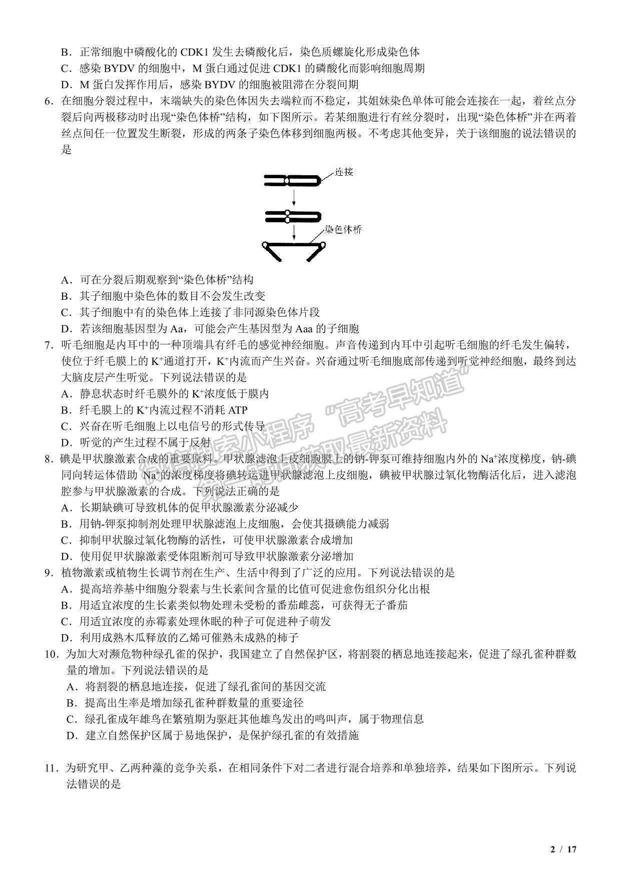 2020新高考I卷（山東卷）高考生物真題及參考答案