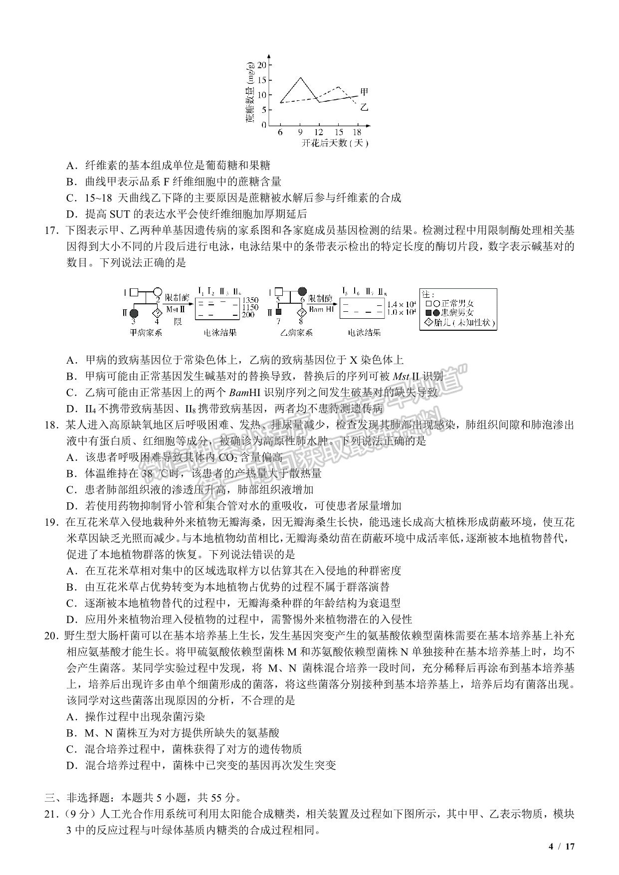 2020新高考I卷（山東卷）高考生物真題及參考答案