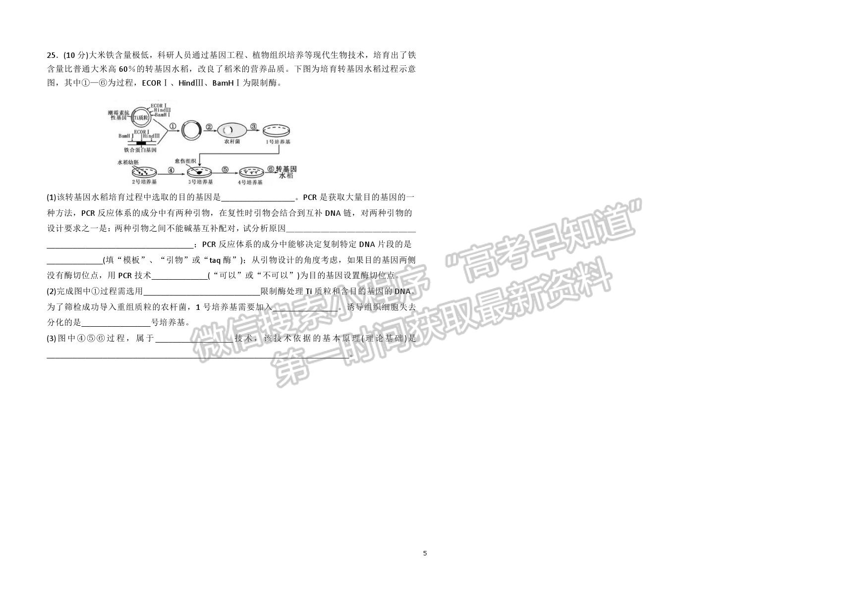 山東省聊城第一中學(xué)2020-2021學(xué)年高三下學(xué)期開學(xué)模擬考試生物試題及參考答案