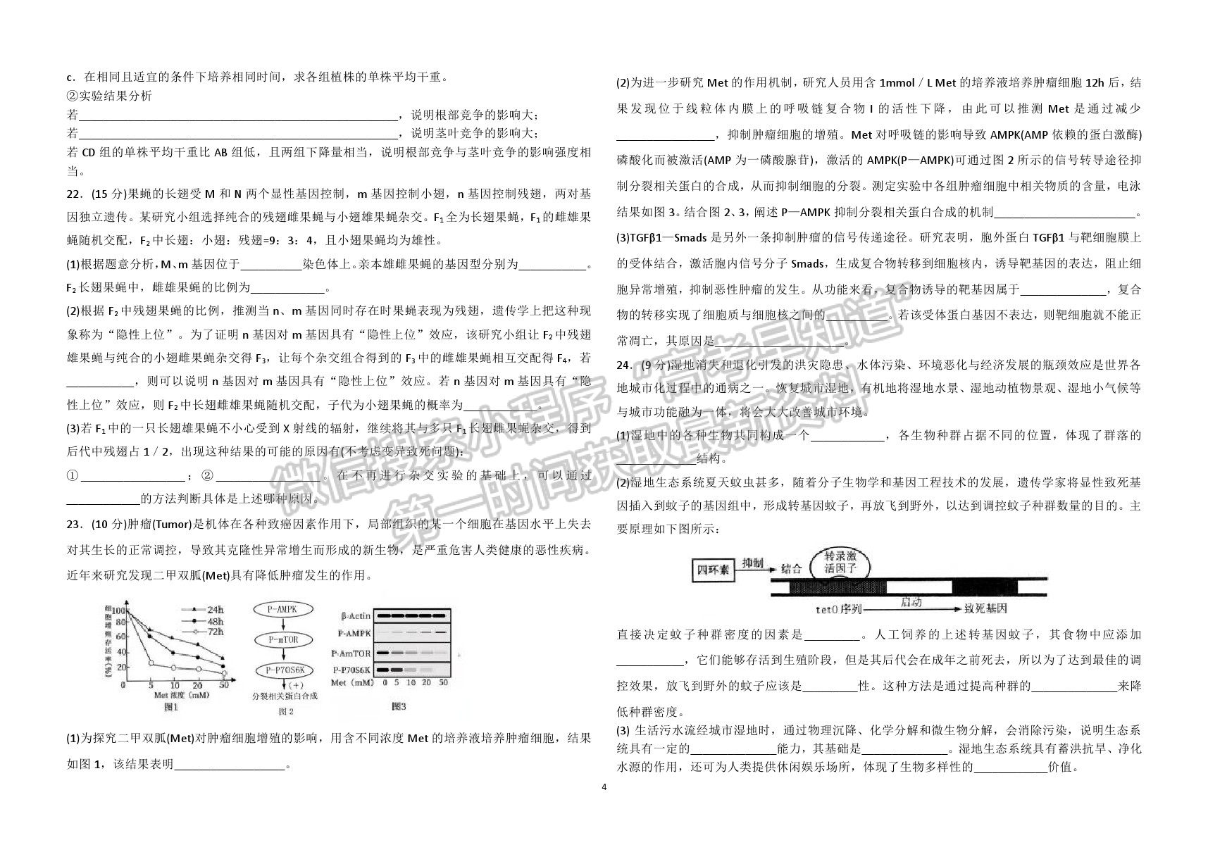 山東省聊城第一中學(xué)2020-2021學(xué)年高三下學(xué)期開(kāi)學(xué)模擬考試生物試題及參考答案