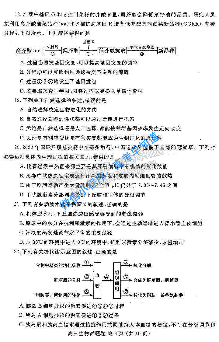 2021鄭州一測高三生物試卷及答案解析