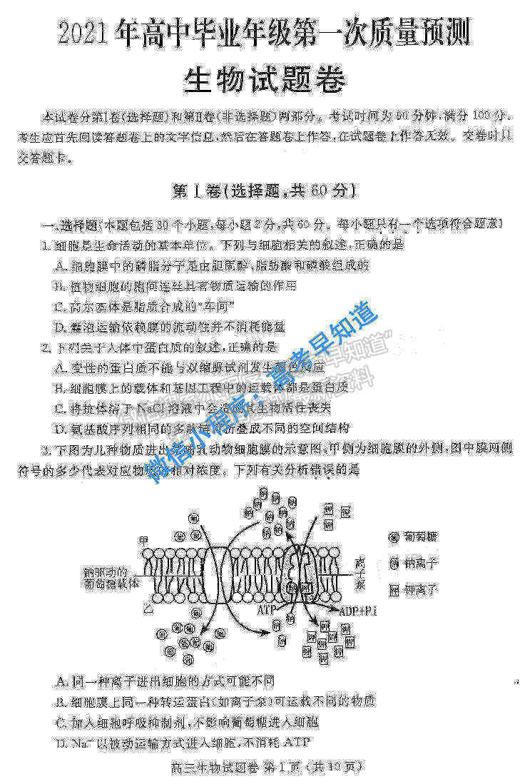 2021鄭州一測高三生物試卷及答案解析