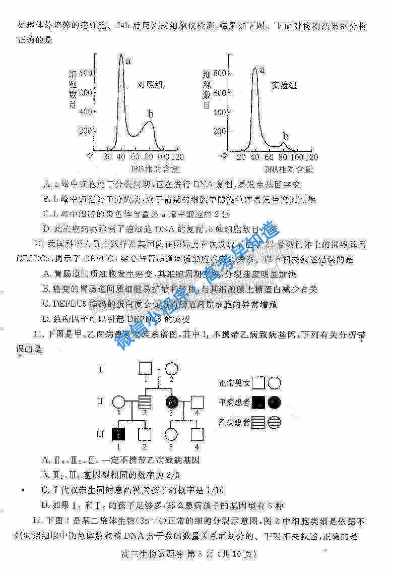 2021鄭州一測高三生物試卷及答案解析