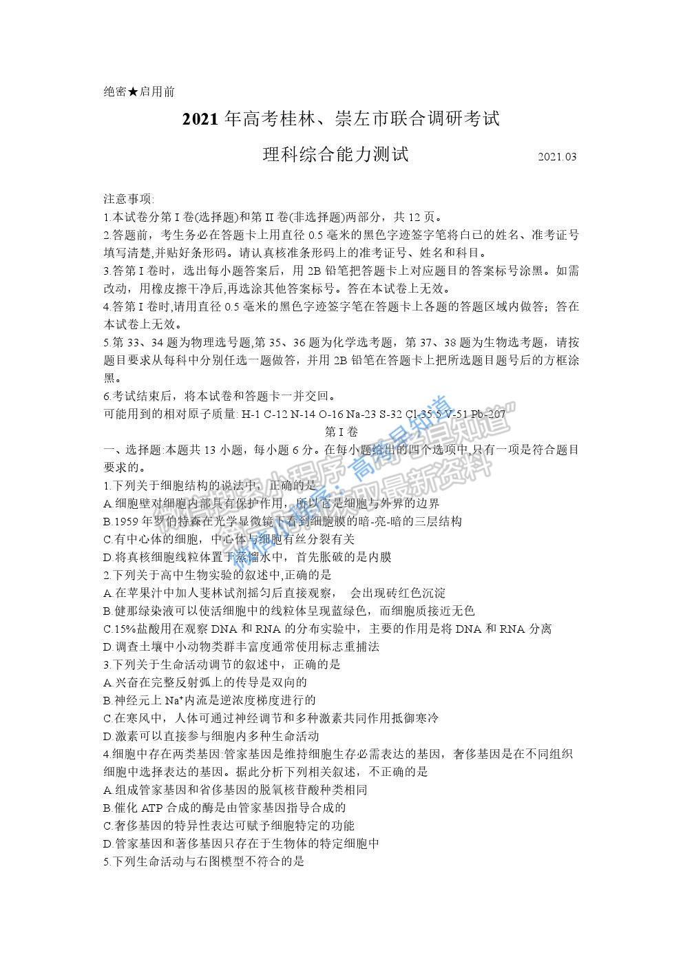 2021屆廣西桂林、崇左市高三聯(lián)合調研考試（二模）理科綜合試題及參考答案