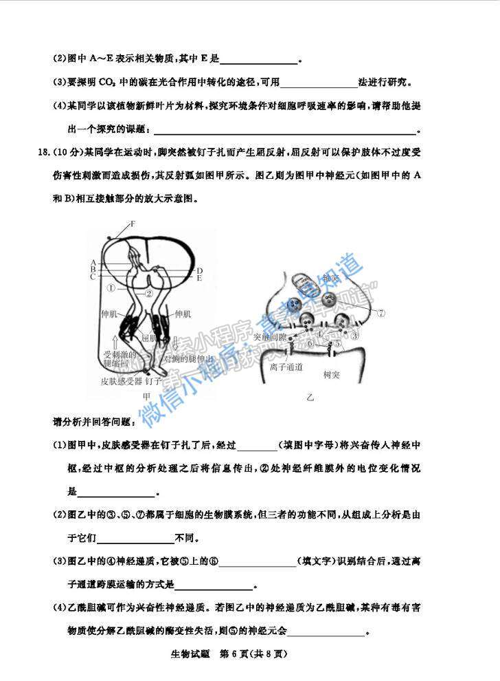 2021肇慶二模生物試題及參考答案