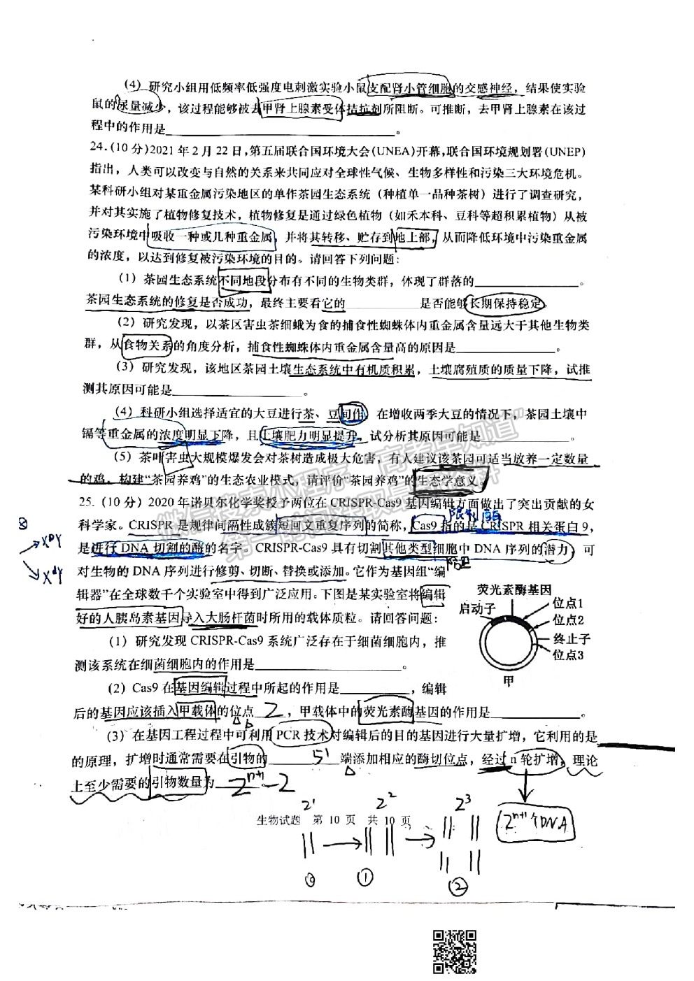 2021青島一模生物試卷及答案