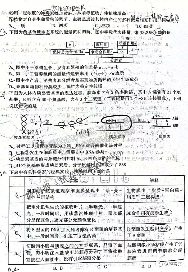 2021寶雞二模理科綜合試卷及答案