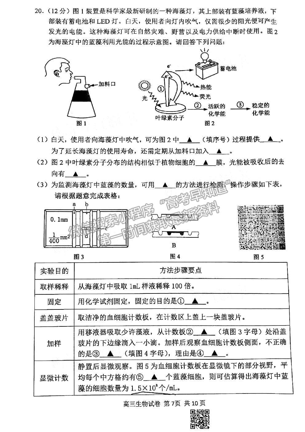 2021蘇錫常鎮(zhèn)四市一模生物試題及參考答案