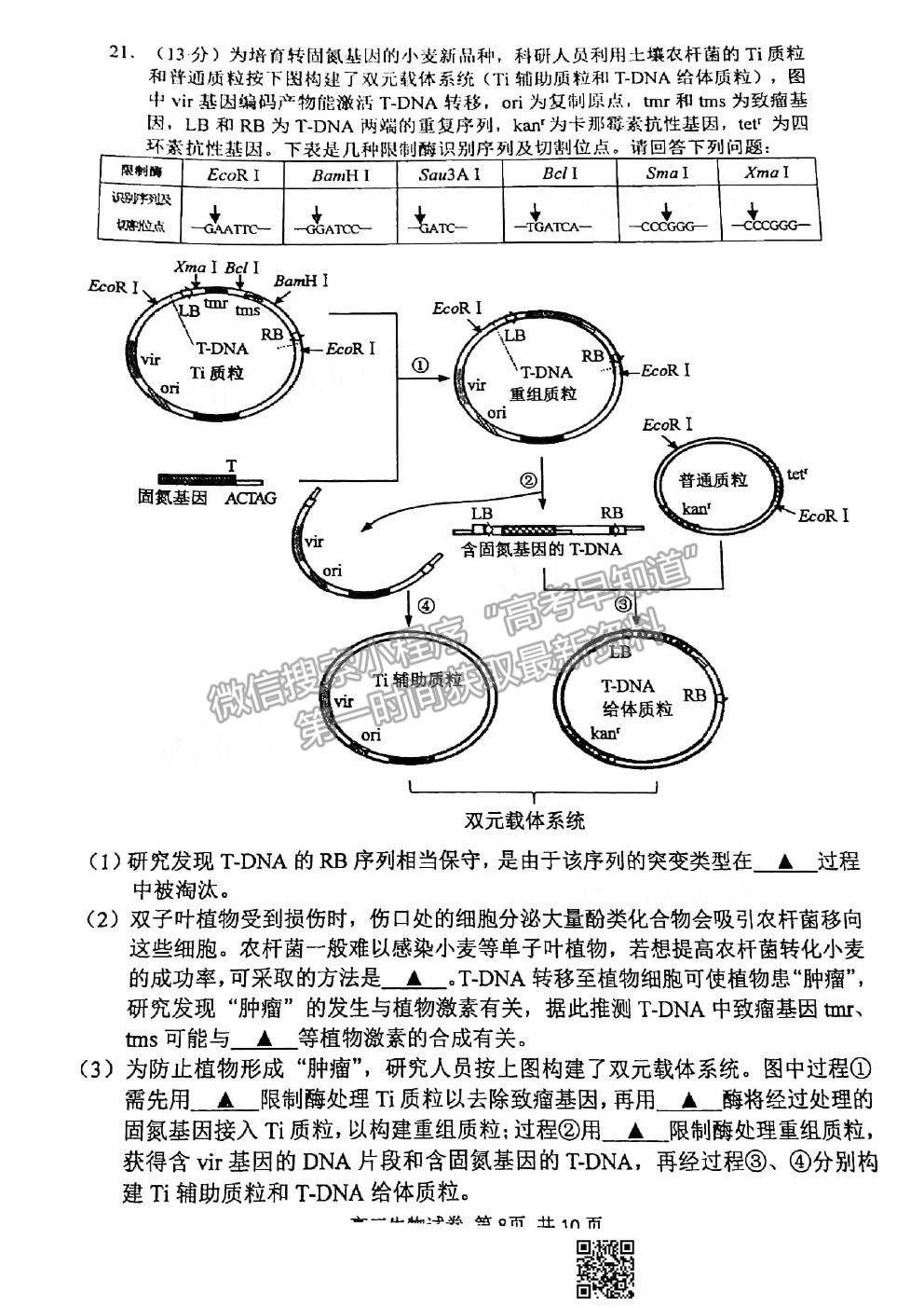 2021蘇錫常鎮(zhèn)四市一模生物試題及參考答案