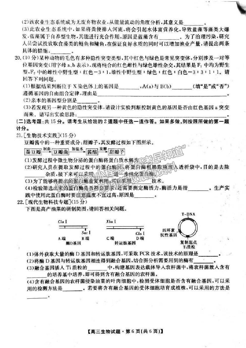 2021三湘名校教育聯(lián)盟第三次大聯(lián)考生物試題及參考答案