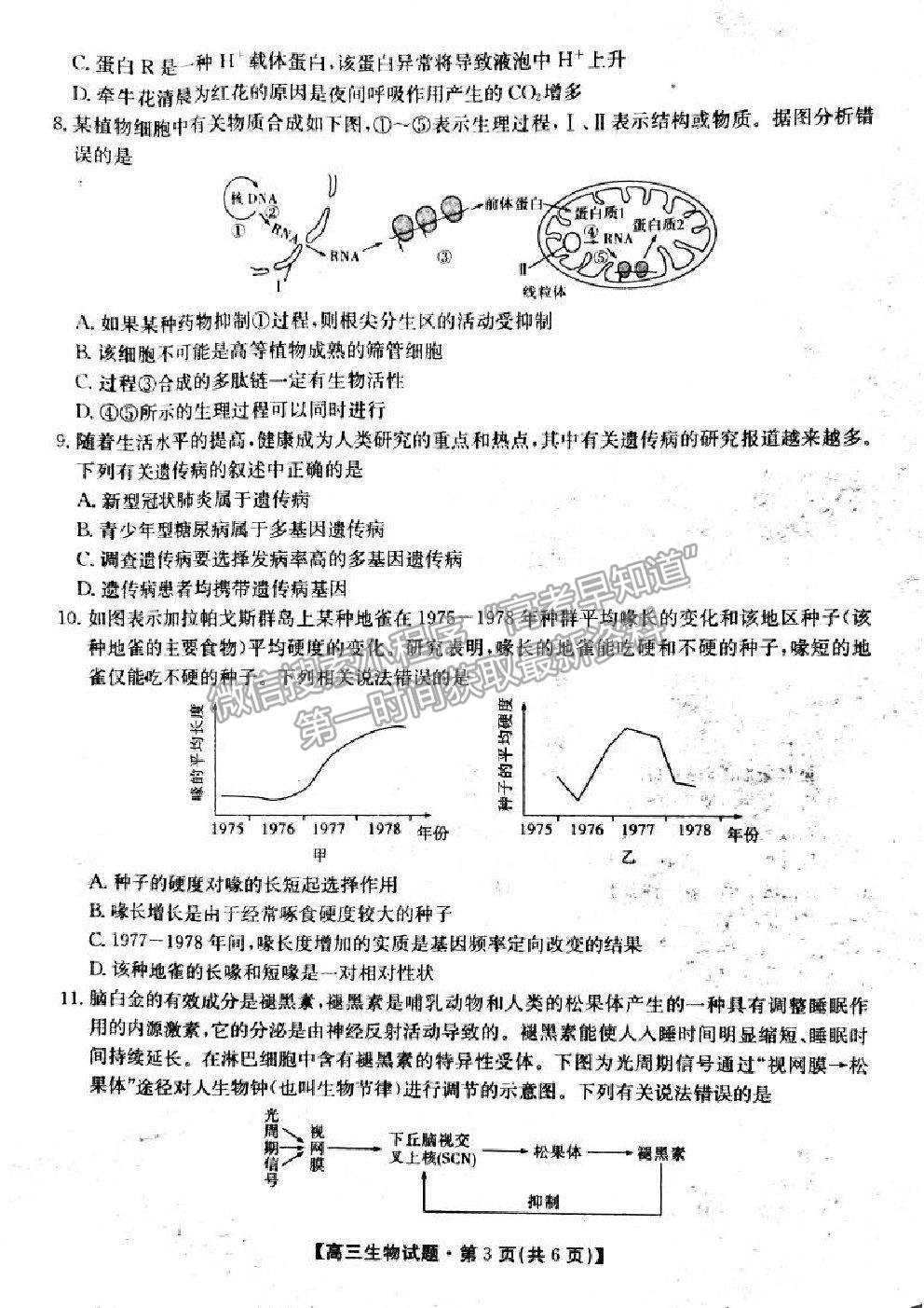 2021三湘名校教育聯(lián)盟第三次大聯(lián)考生物試題及參考答案