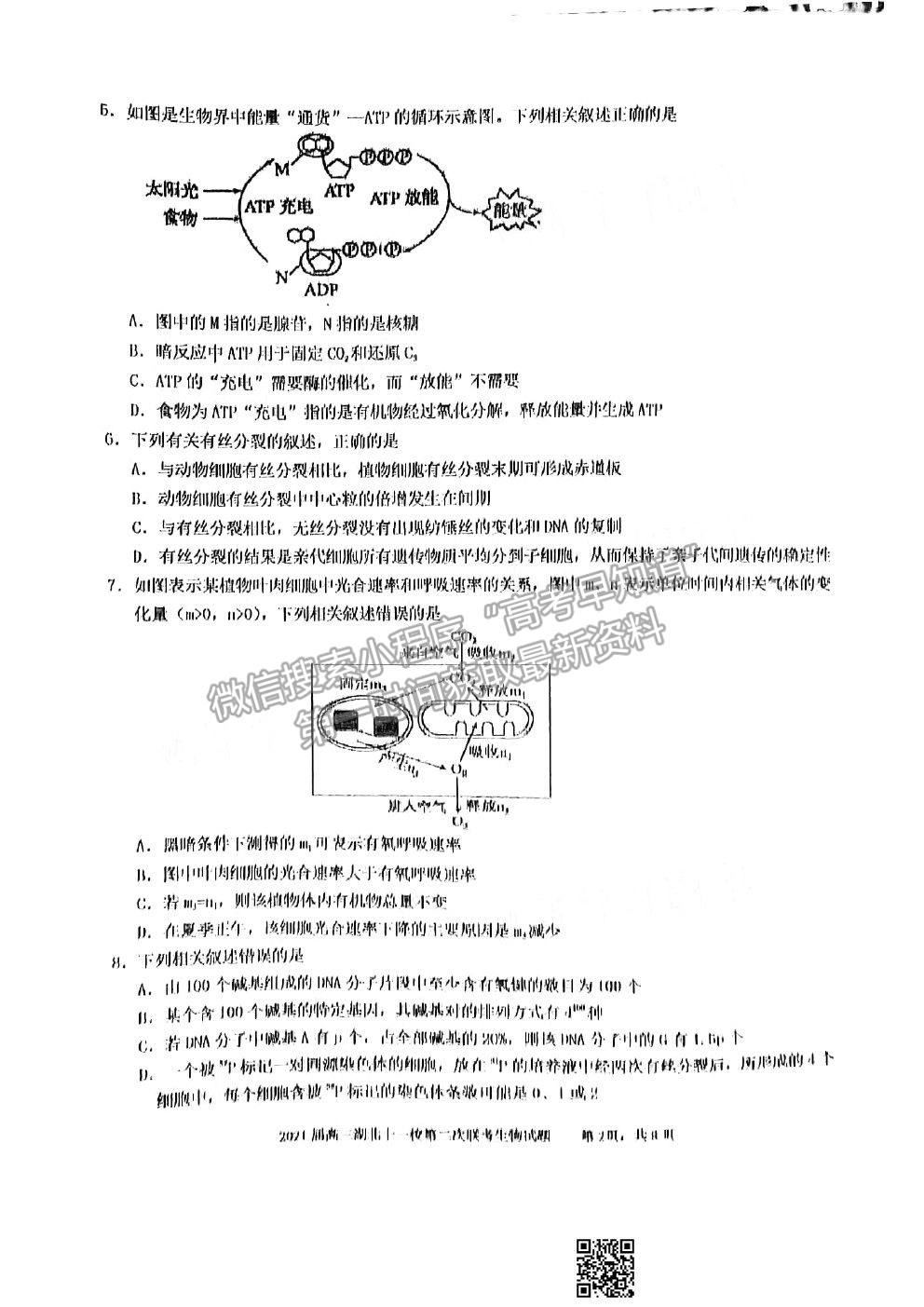 2021湖北十一校高三第二次聯考生物試題及參考答案