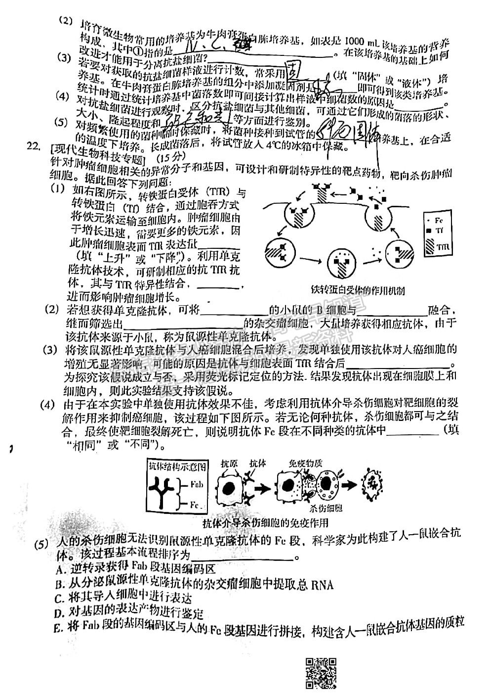 2021懷化一模生物試卷及答案