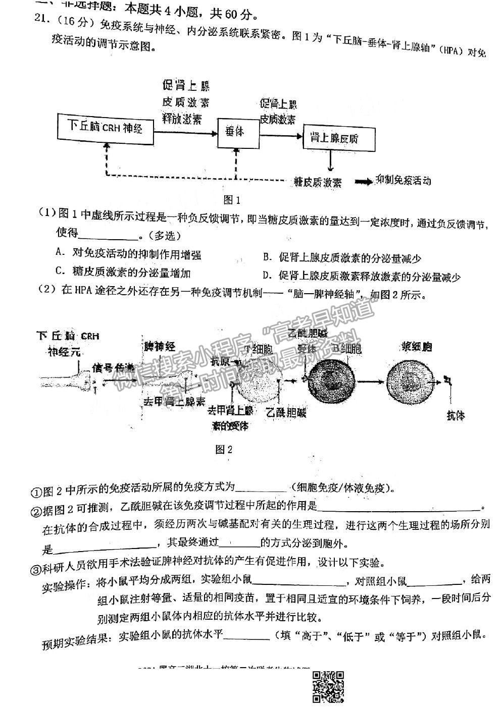 2021湖北十一校高三第二次聯(lián)考生物試題及參考答案