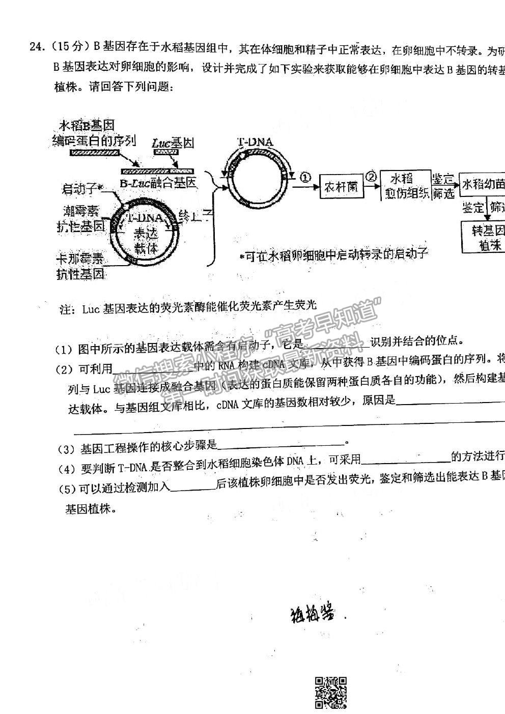 2021湖北十一校高三第二次聯(lián)考生物試題及參考答案