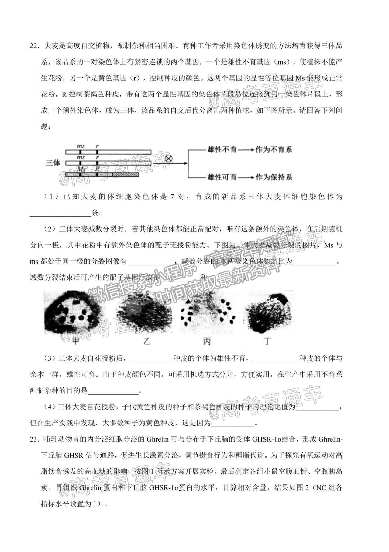 2021山東（新高考）高三第二次模擬考試（二）生物試題及參考答案