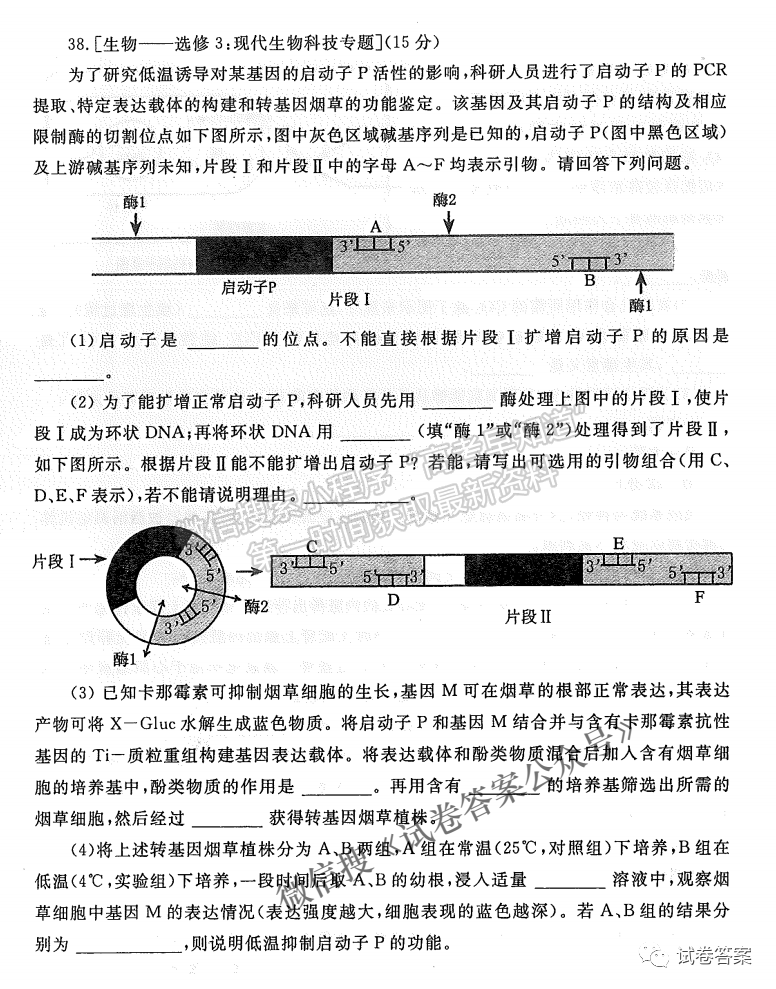 2021鄭州二模理科綜合試卷及答案