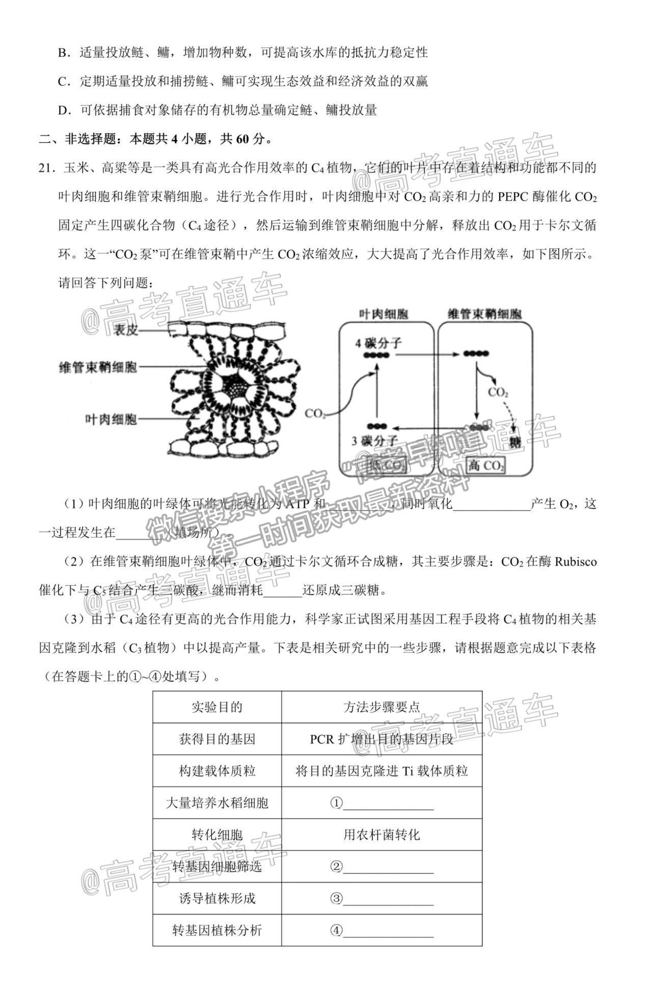 2021山東（新高考）高三第二次模擬考試（二）生物試題及參考答案