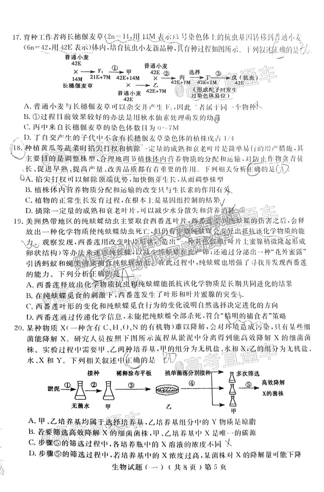 2021聊城一模生物試題及參考答案