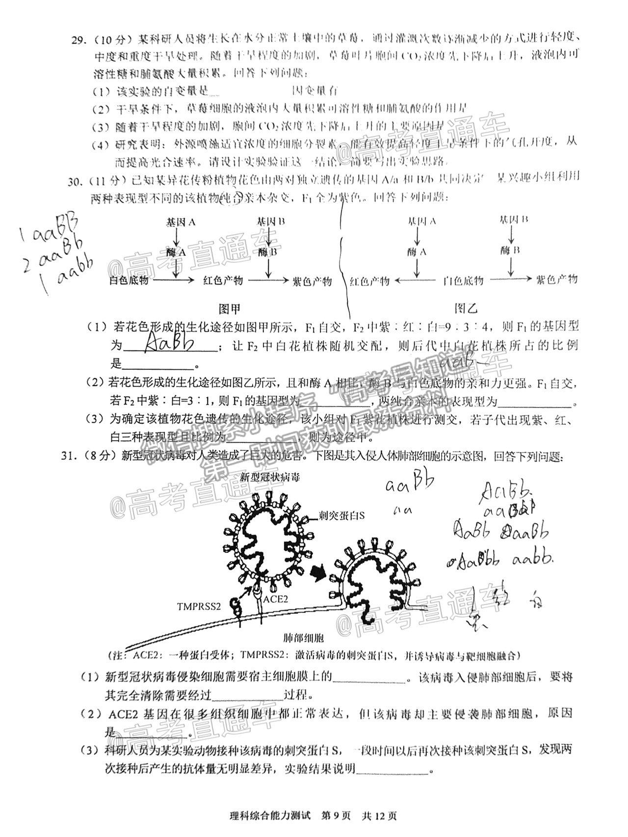 2021馬鞍山二模理科綜合試卷及參考答案