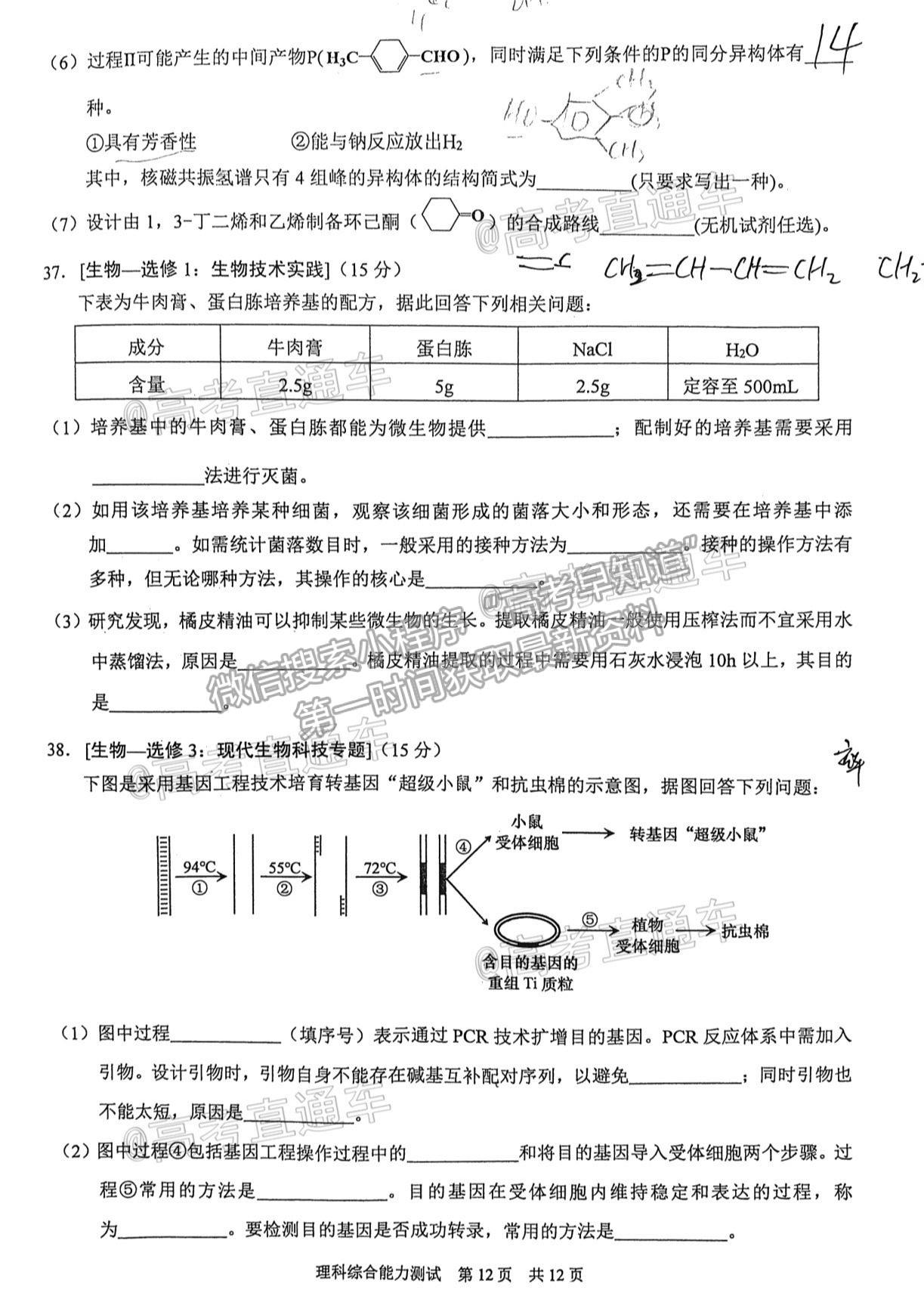 2021馬鞍山二模理科綜合試卷及參考答案