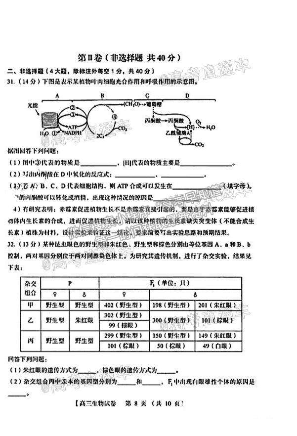 2021河南三門峽高三一練生物試題及參考答案