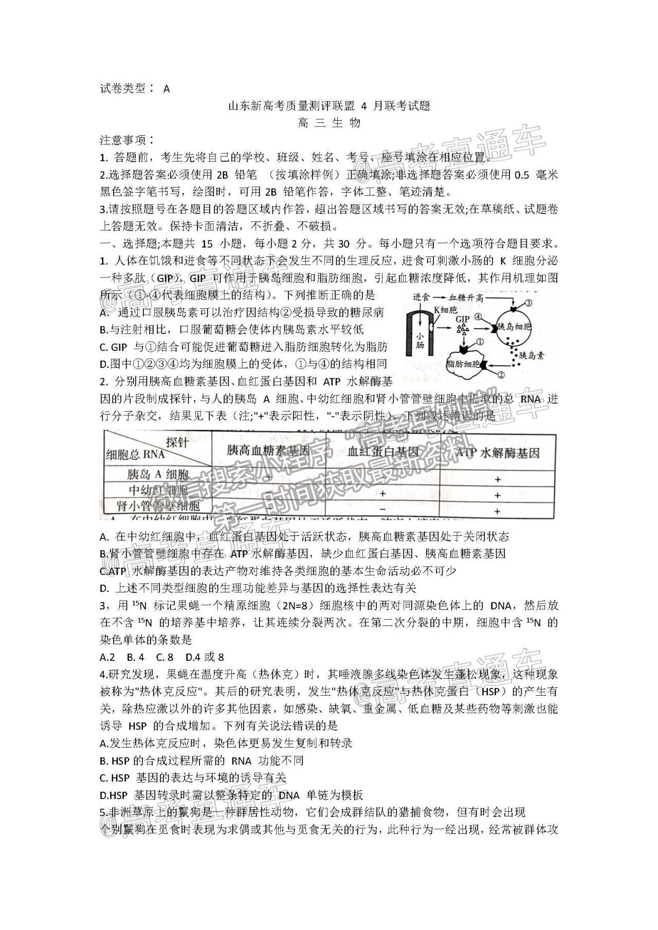 2021山東新高考質量測評聯(lián)盟4月聯(lián)考生物試題及參考答案