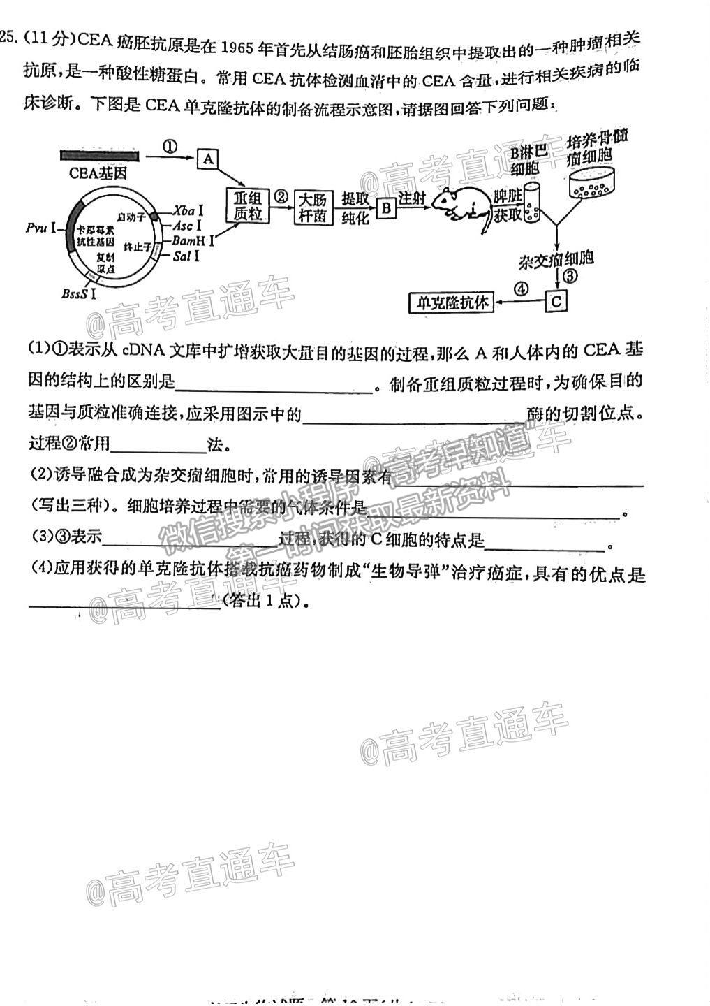 2021棗莊二調(diào)生物試題及參考答案