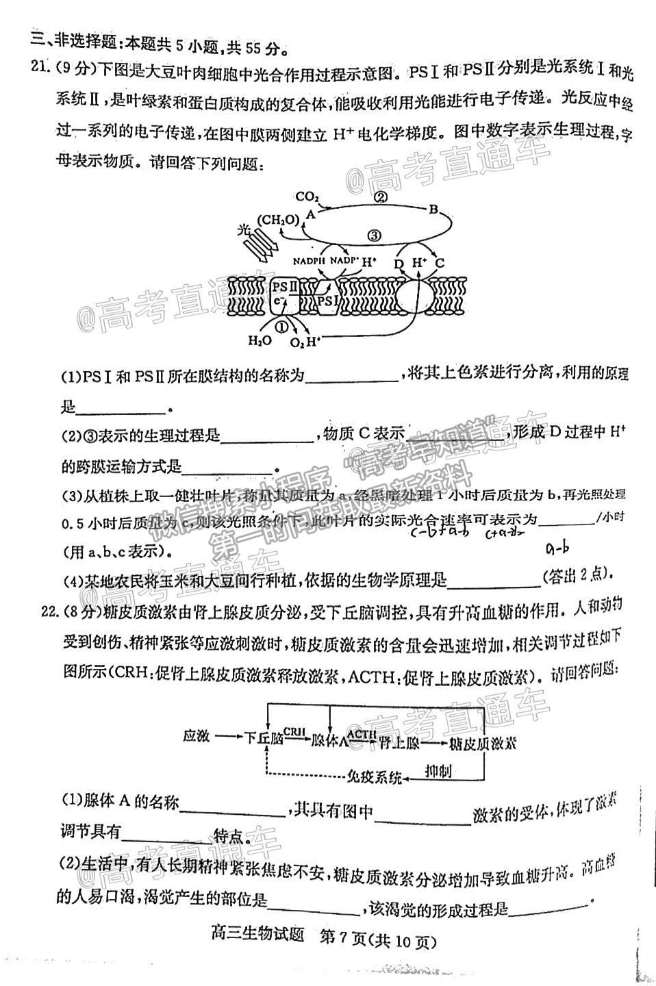 2021棗莊二調(diào)生物試題及參考答案