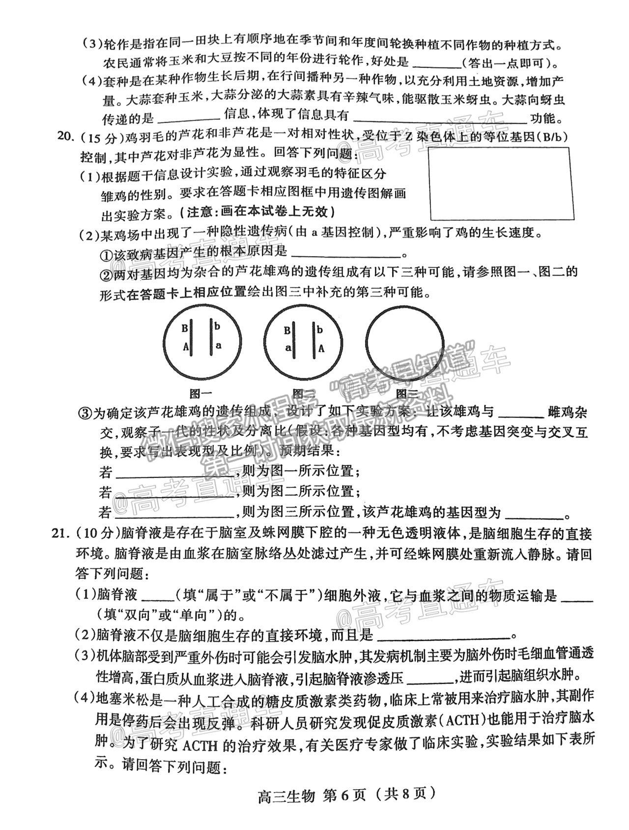 2021石家莊一模生物試題及參考答案