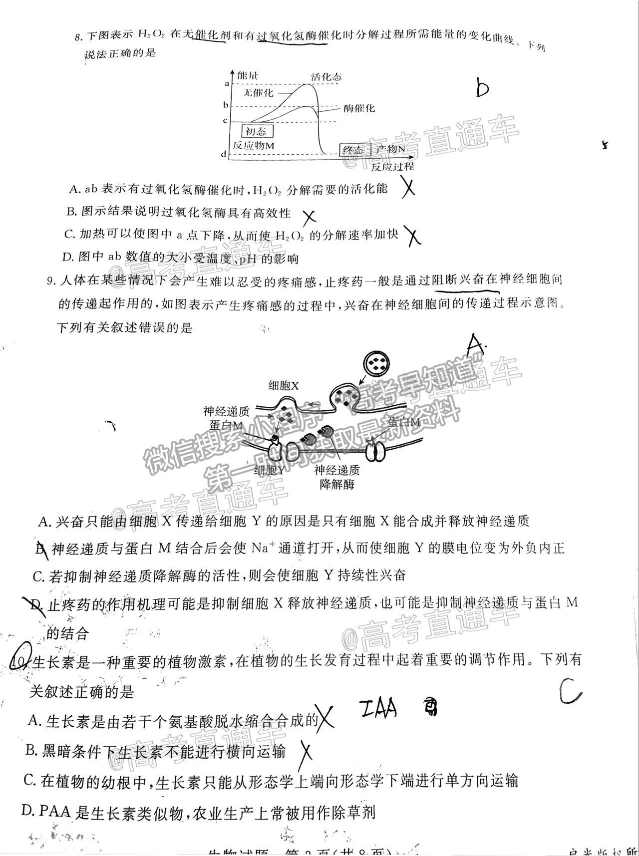 2021滄州一模生物試題及參考答案