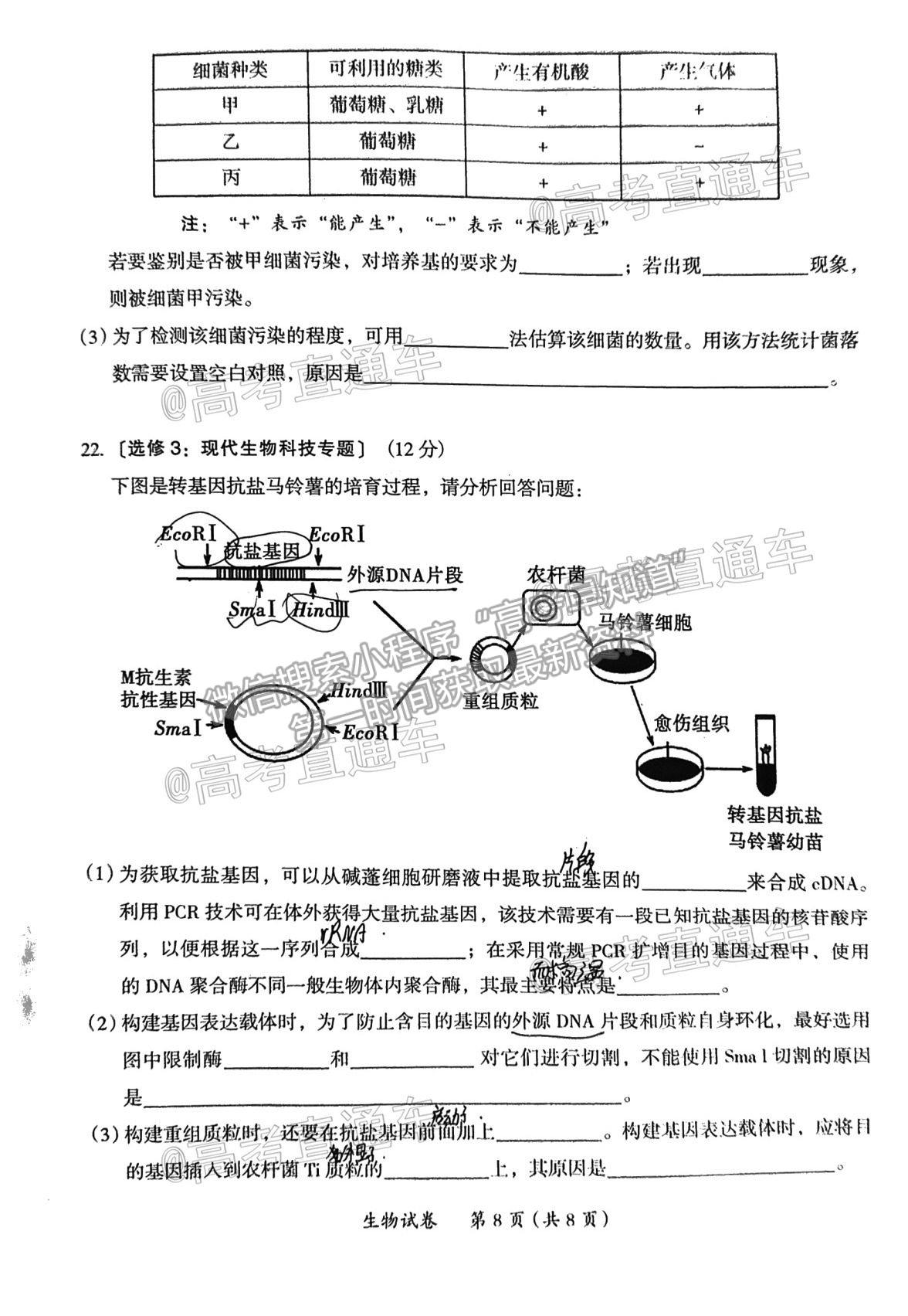 2021茂名二模生物試題及參考答案