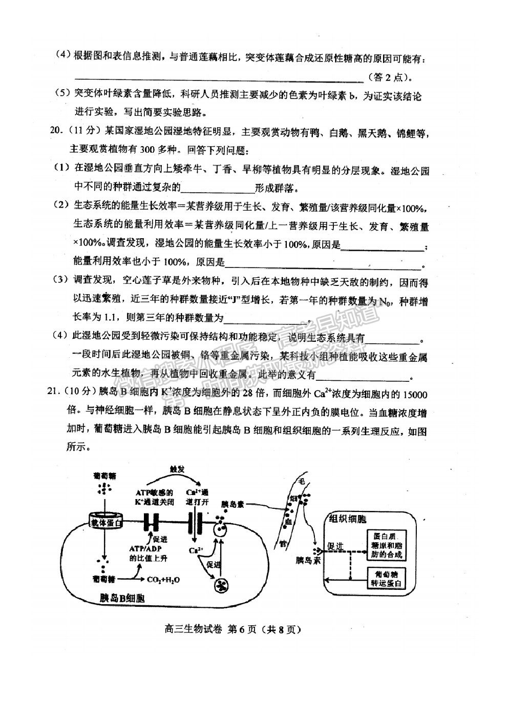 202021唐山二模生物試題及參考答案