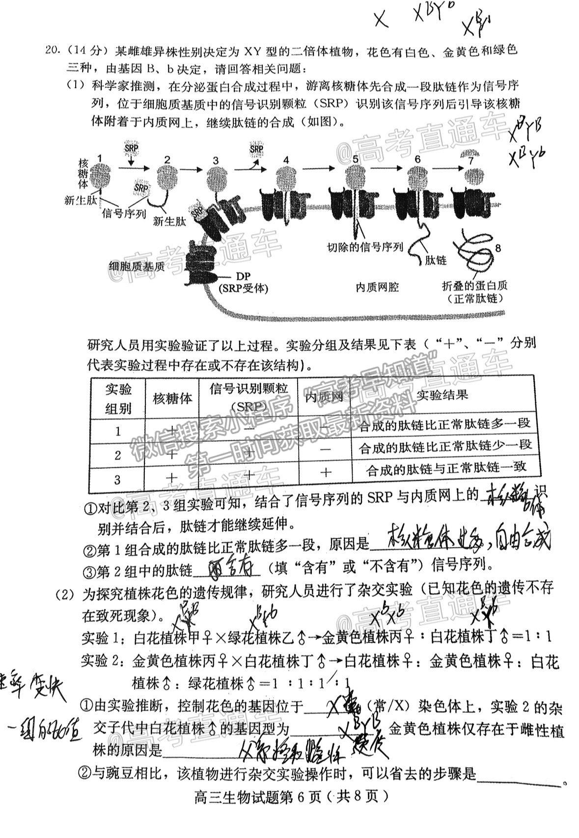 2021保定二模生物試題及參考答案